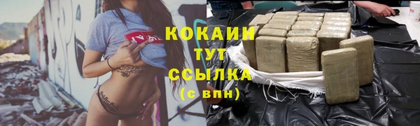 гидра Армянск