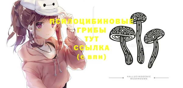 марки nbome Аркадак