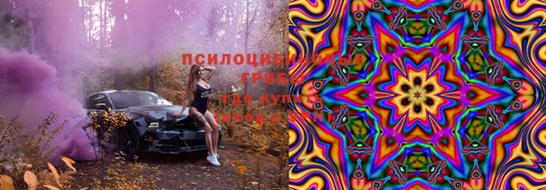спиды Арсеньев