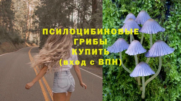 гидра Армянск